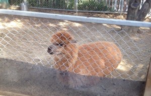 座ると足が見えなくなってL字型になりますね