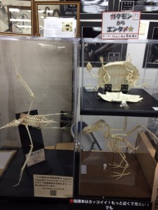 IMG_2780.2014-08-09_021100