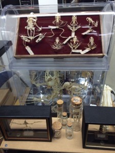 IMG_2781.2014-08-09_021121